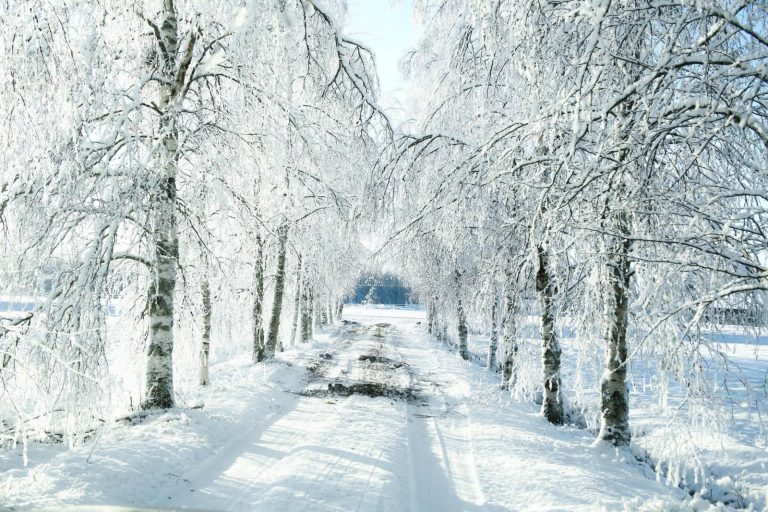 Finland